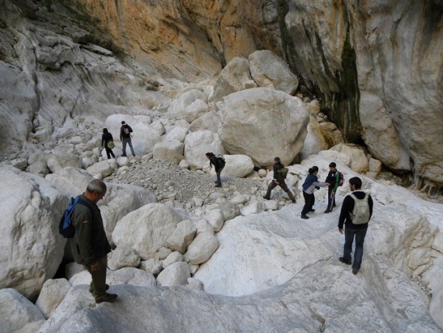  A day of trekking